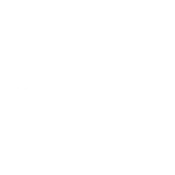 Avrio drone