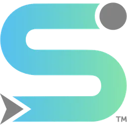 DRONE SOLUTIONS INVEST