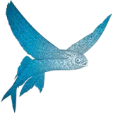 MARARA
