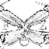 FLIGHT DRONE ZONE (FLIGHT DRONE ZONE) (FDZ)