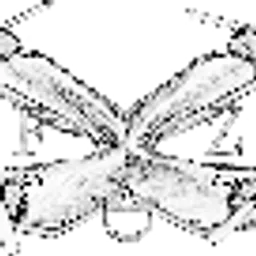 FLIGHT DRONE ZONE (FLIGHT DRONE ZONE) (FDZ)