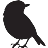 WoodBird