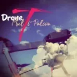 JULIEN JULIEN (GONDEAU) (DRONE MULTI PAL'SION)