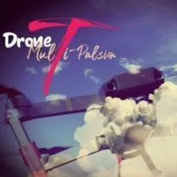 JULIEN JULIEN (GONDEAU) (DRONE MULTI PAL'SION)